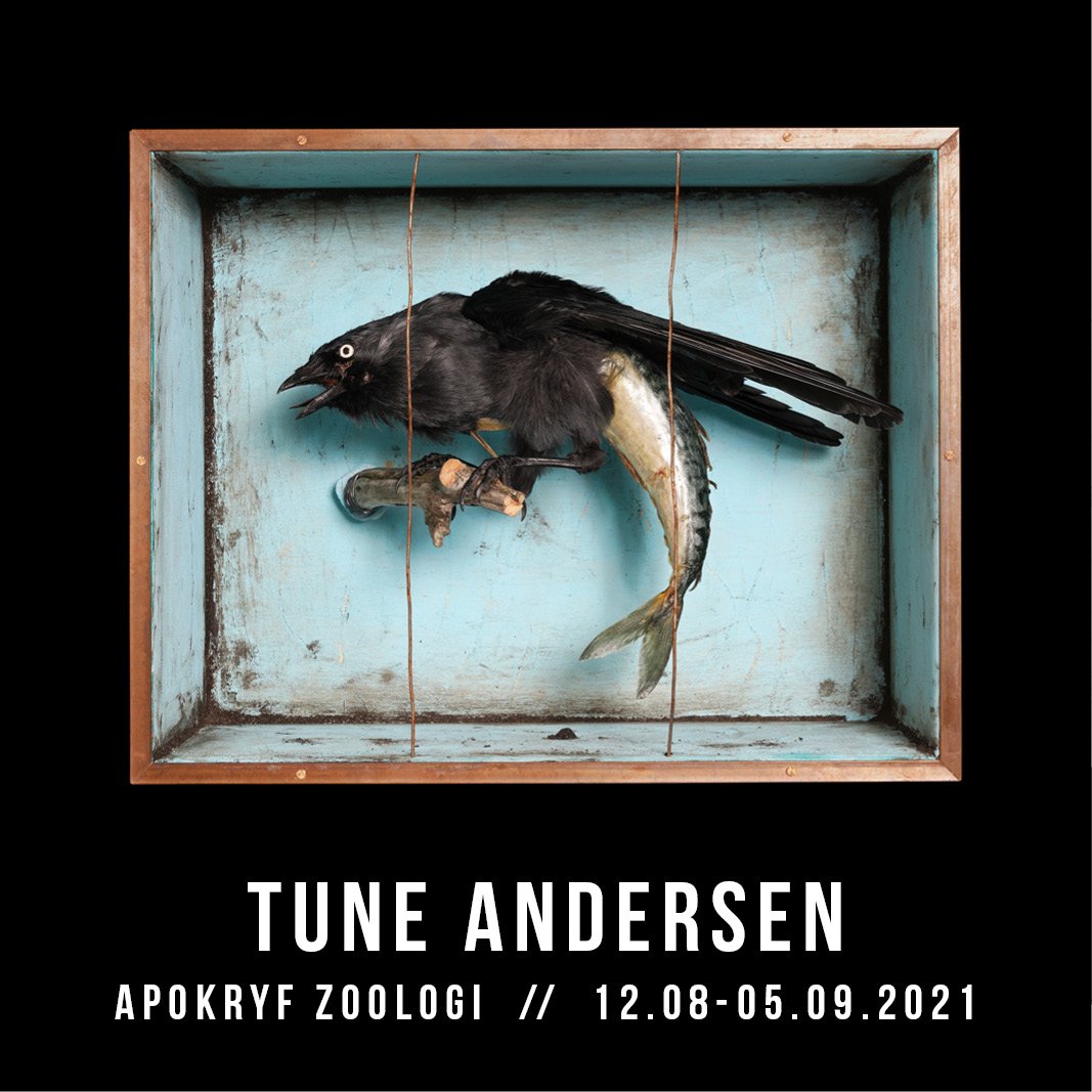 Tune Andersen Apokryf Zoologi